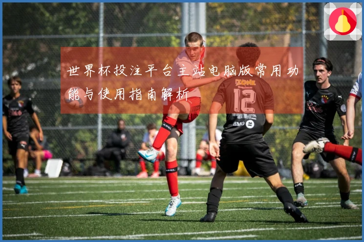 世界杯投注平台主站电脑版常用功能与使用指南解析