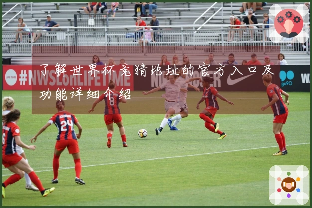 了解世界杯竞猜地址的官方入口及功能详细介绍