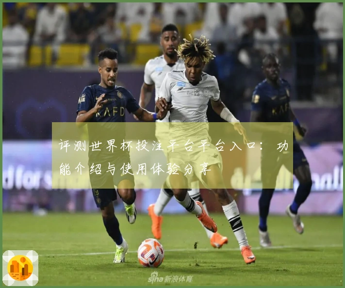 评测世界杯投注平台平台入口:功能介绍与使用体验分享