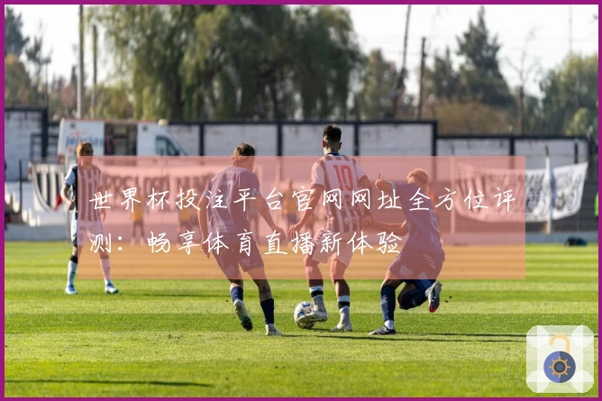 世界杯投注平台官网网址全方位评测：畅享体育直播新体验