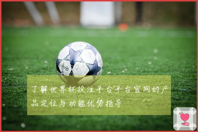 了解世界杯投注平台平台官网的产品定位与功能优势指导