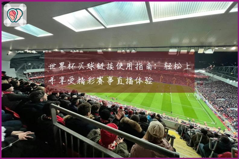 世界杯买球链接使用指南：轻松上手享受精彩赛事直播体验