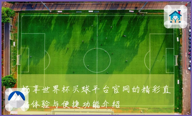 畅享世界杯买球平台官网的精彩直播体验与便捷功能介绍