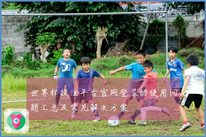 世界杯投注平台官网登录的使用问题汇总及常见解决方案