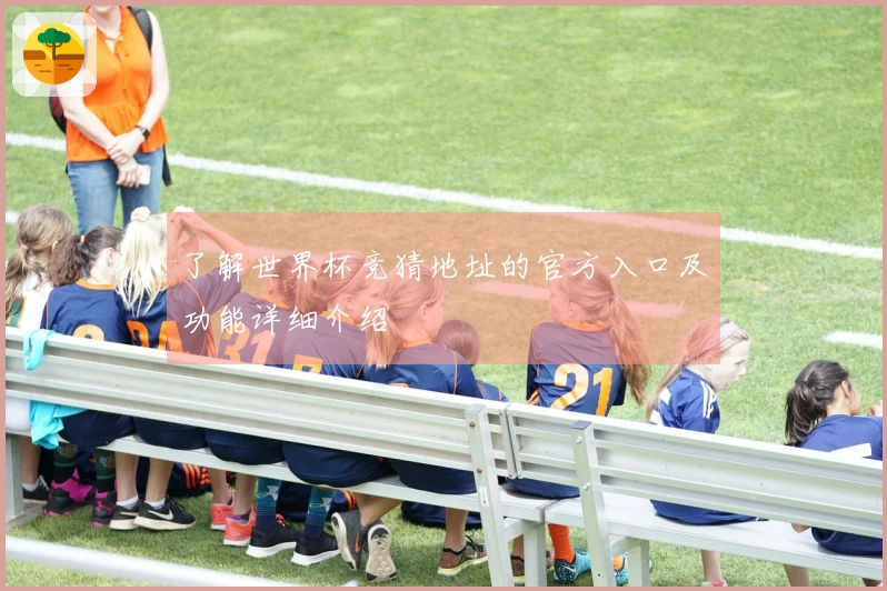 了解世界杯竞猜地址的官方入口及功能详细介绍