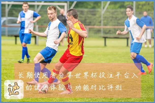 长期使用者分享世界杯投注平台入口的使用体验与功能对比评测