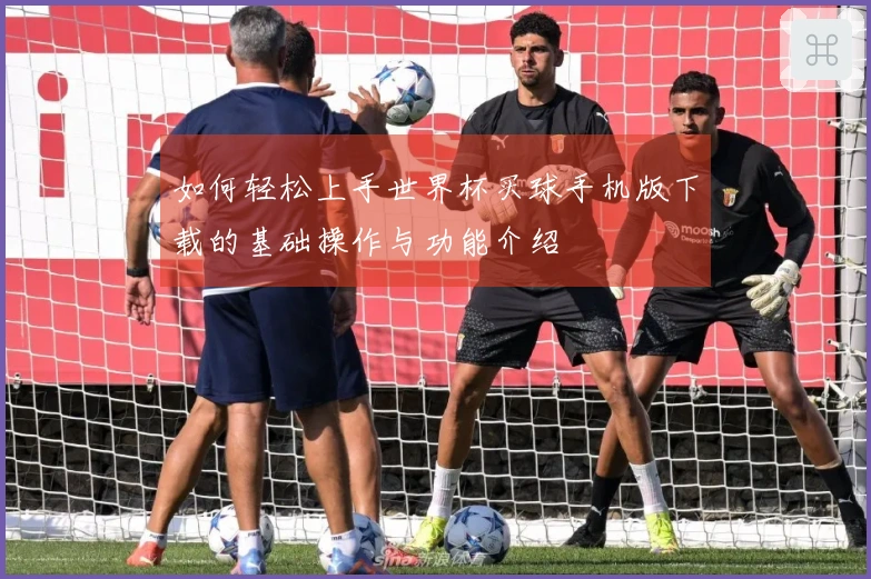 如何轻松上手世界杯买球手机版下载的基础操作与功能介绍